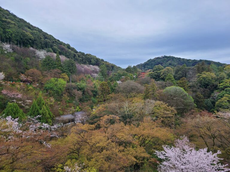 お試しだよ